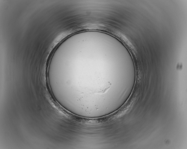 X0000096170986200802081407