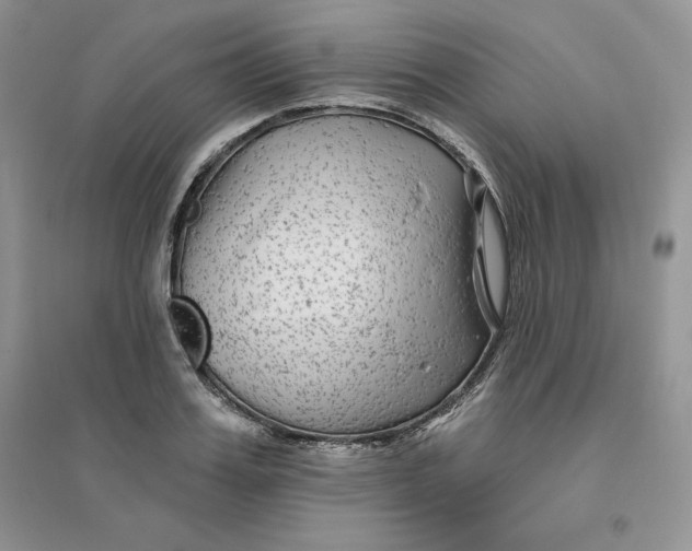 X0000096170987200802081407