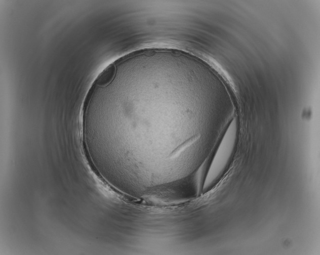 X0000096170988200802081407