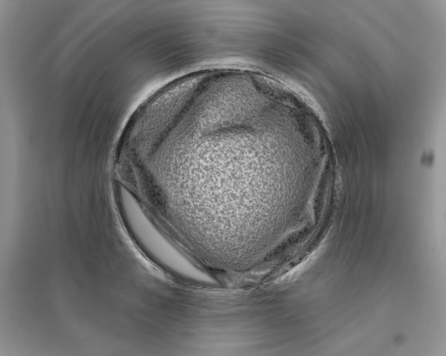 X0000096170989200802081407