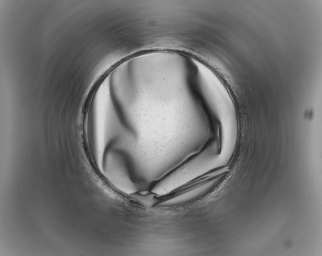 X0000096170990200802081407