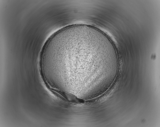 X0000096170991200802081407