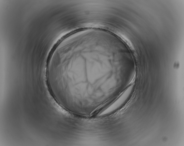 X0000096170992200802081407