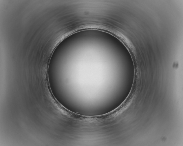 X0000096170993200802081407