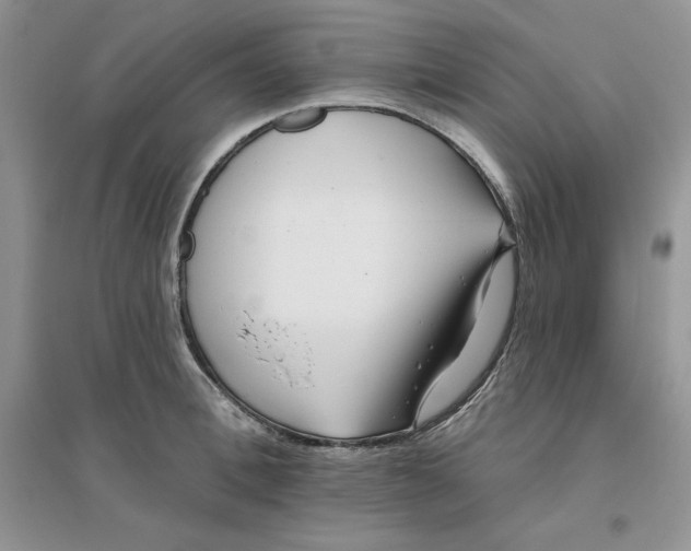 X0000096170996200802081407