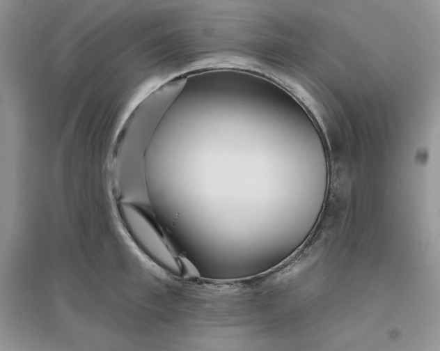 X0000096170997200802081407