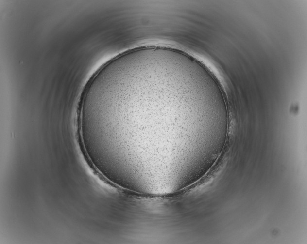 X0000096170999200802081407