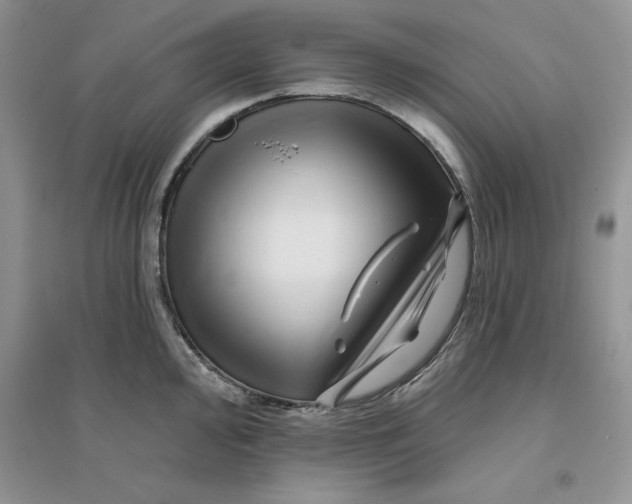 X0000096171000200802081407