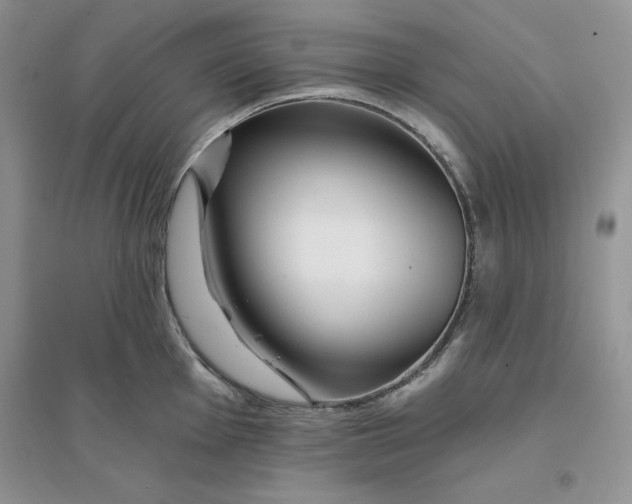 X0000096171001200802081407