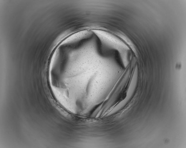 X0000096171002200802081407