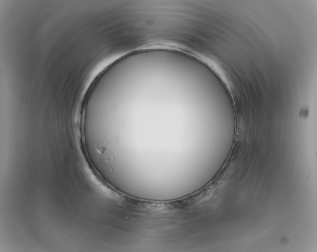 X0000096171003200802081407