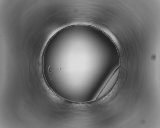 X0000096171004200802081407