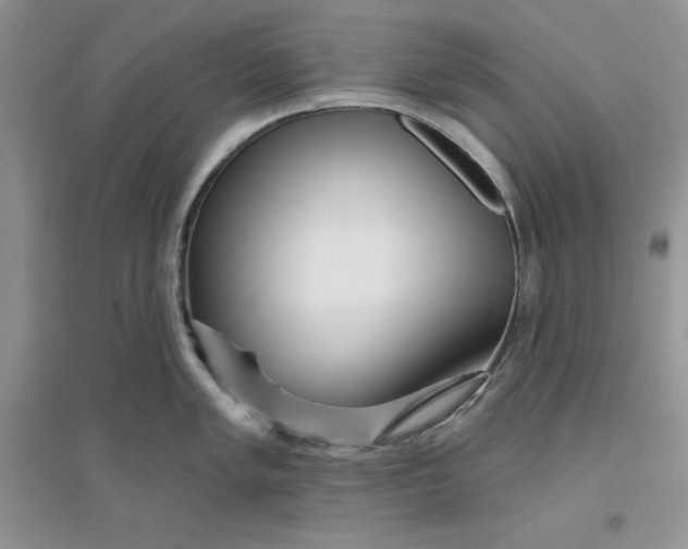 X0000096171005200802081407