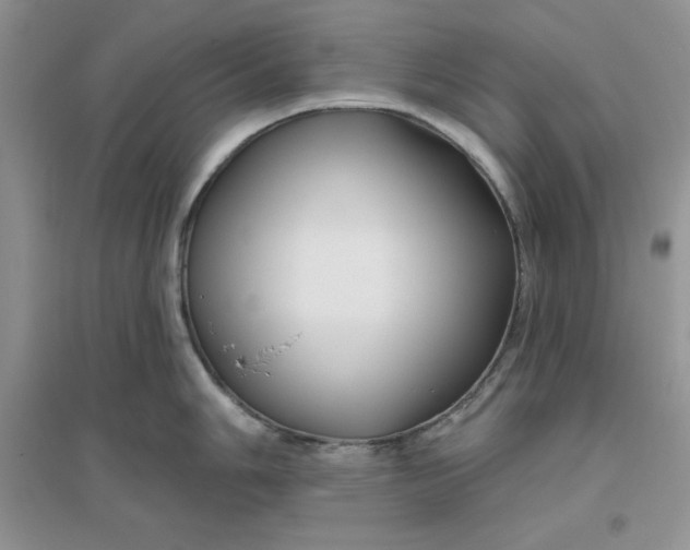 X0000096171006200802081407