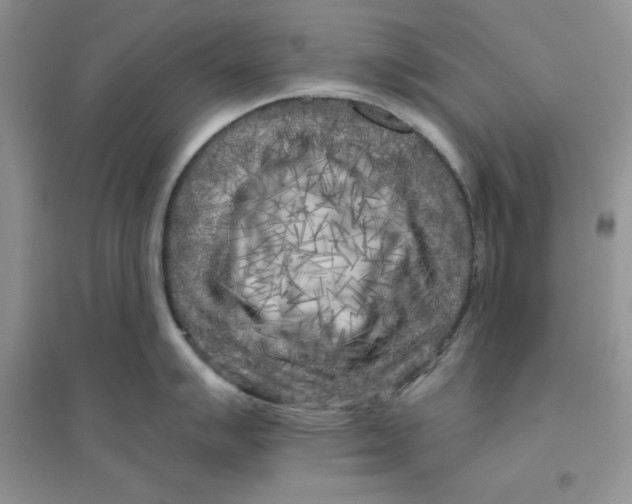 X0000096171007200802081407