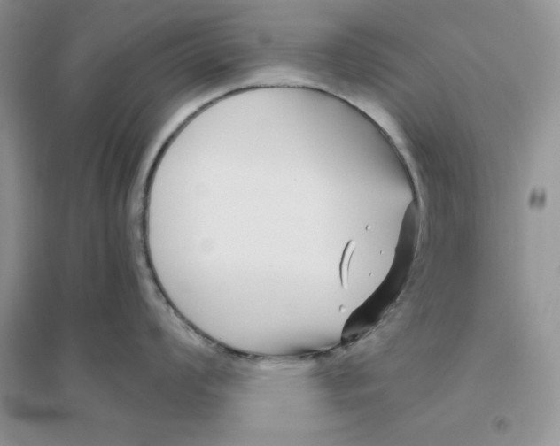 X0000096171008200802081407