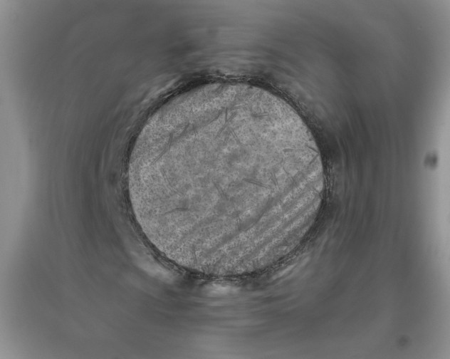 X0000096171009200802081406