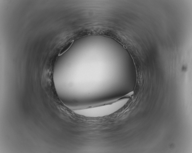 X0000096171010200802081406