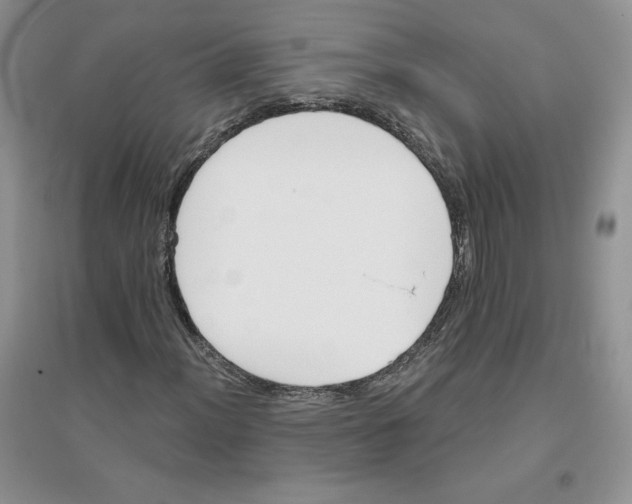 X0000096171012200802081406