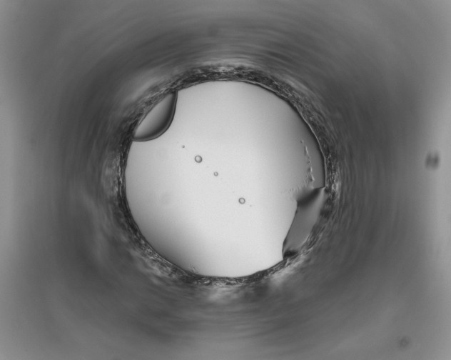 X0000096171014200802081406