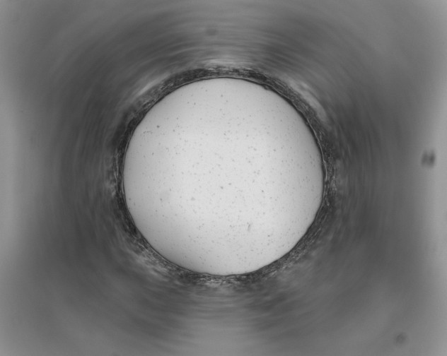 X0000096171015200802081406