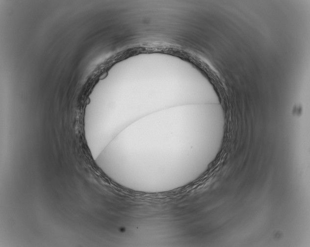 X0000096171016200802081406