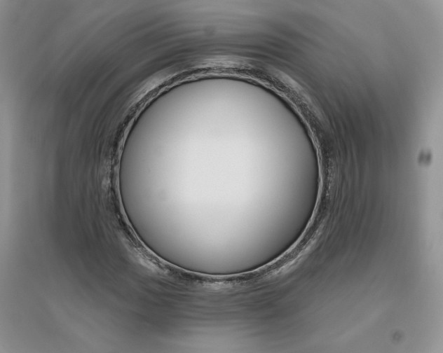 X0000096171017200802081406