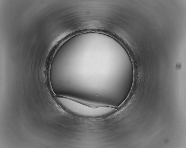 X0000096171018200802081406