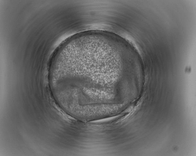 X0000096171019200802081406