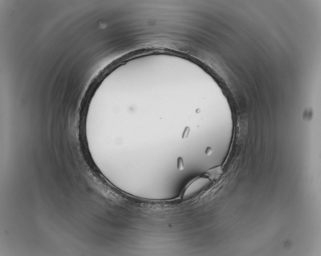 X0000096171020200802081406