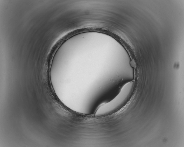 X0000096171021200802081406