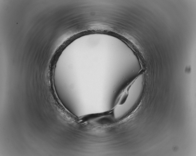 X0000096171022200802081406