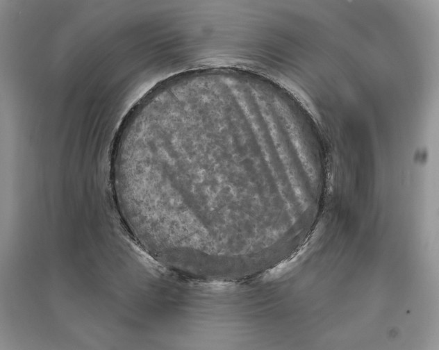 X0000096171023200802081406