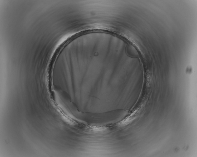 X0000096171024200802081406