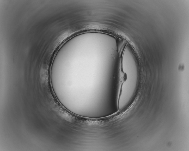 X0000096171025200802081406