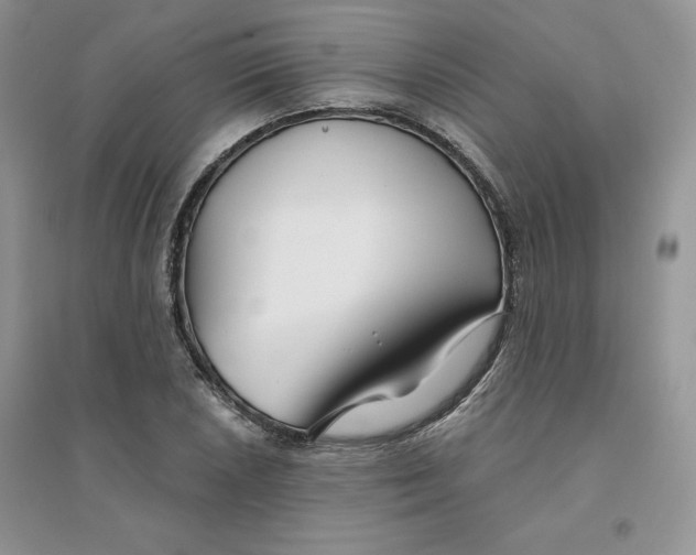 X0000096171026200802081406