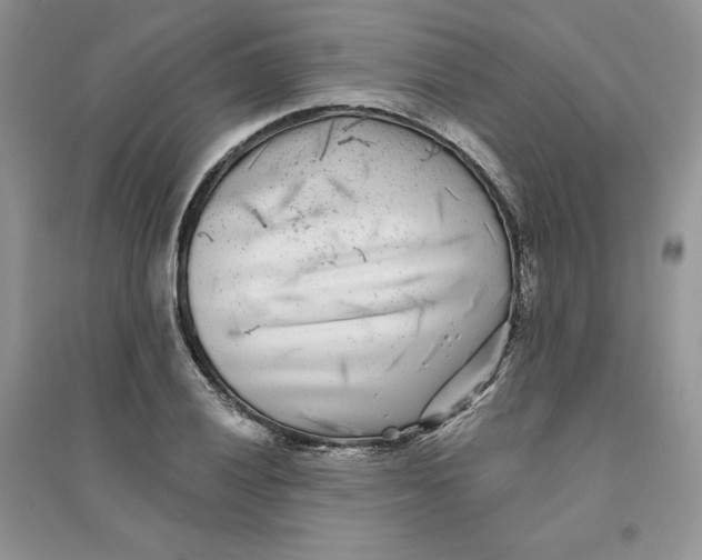 X0000096171028200802081406