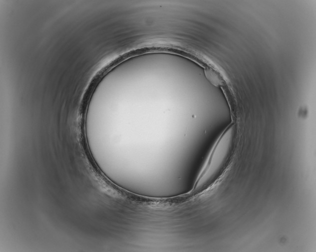 X0000096171029200802081407