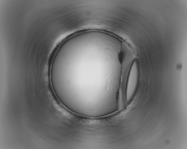 X0000096171030200802081407