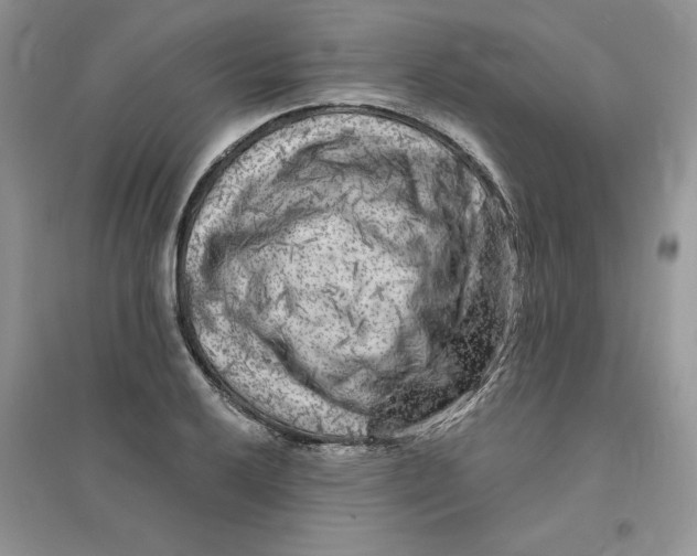 X0000096171032200802081407