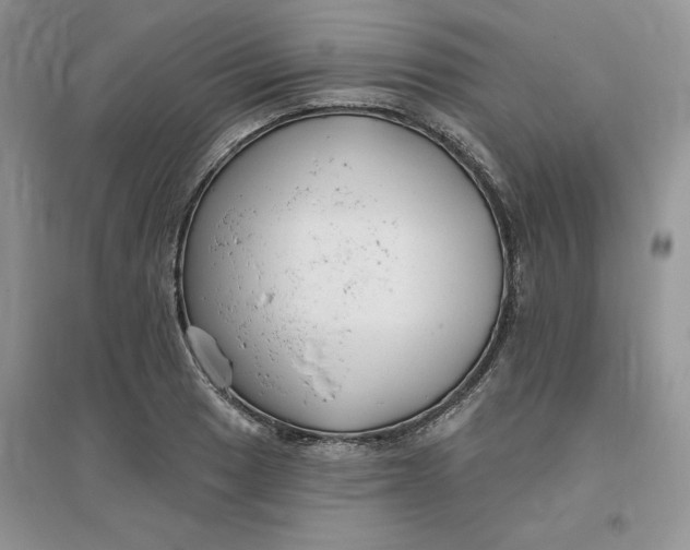 X0000096171033200802081407