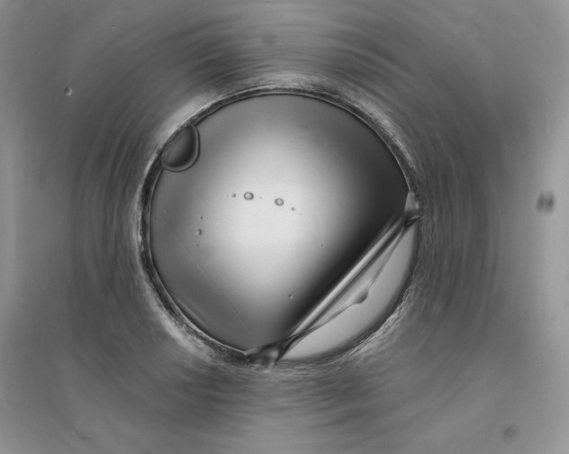 X0000096171034200802081407