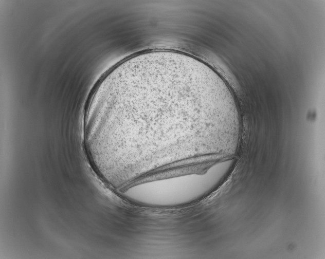 X0000096171036200802081407