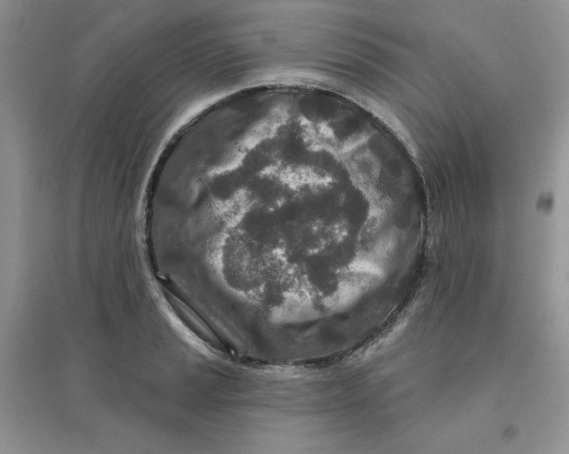 X0000096171037200802081407