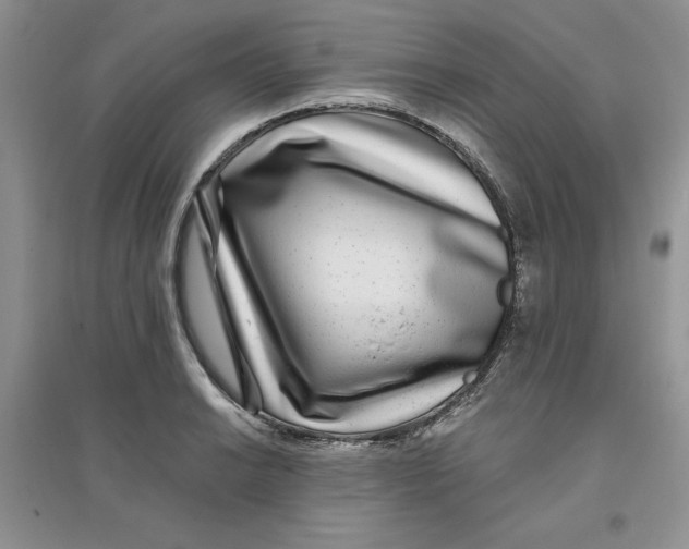 X0000096171038200802081407