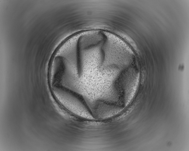 X0000096171039200802081407