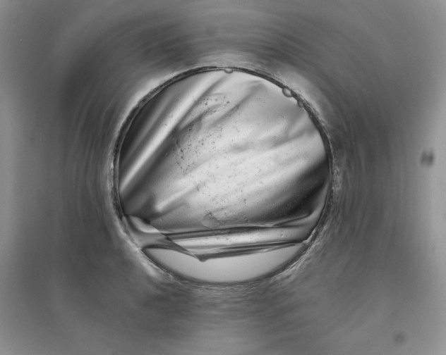 X0000096171040200802081407