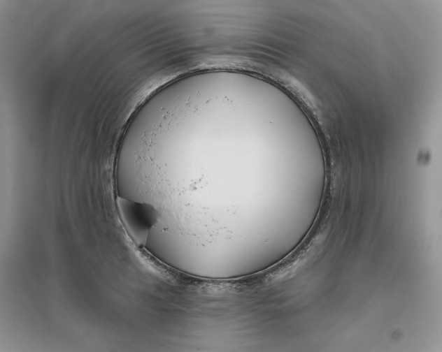 X0000096171041200802081407