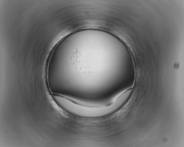 X0000096171042200802081407