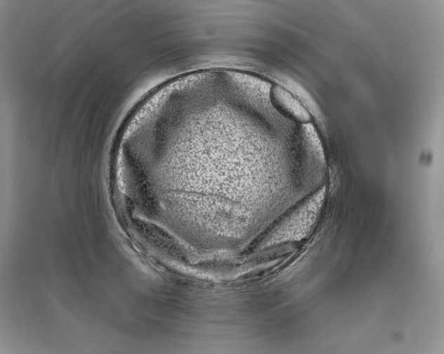 X0000096171043200802081407